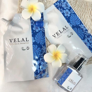 VELAL BOTANICAL SHAMPOO/VELAL/シャンプー・コンディショナーを使ったクチコミ（3枚目）