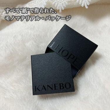 ブライトフューチャーボックス/KANEBO/シングルアイシャドウを使ったクチコミ（3枚目）