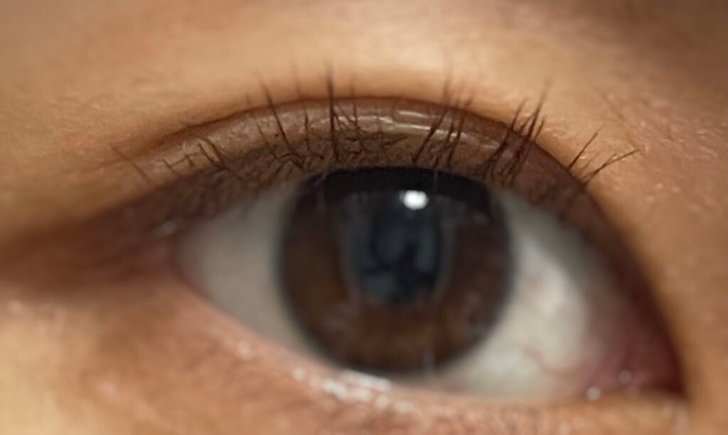 「塗るつけまつげ」自まつげ際立てタイプ/デジャヴュ/マスカラを使ったクチコミ(5枚目)