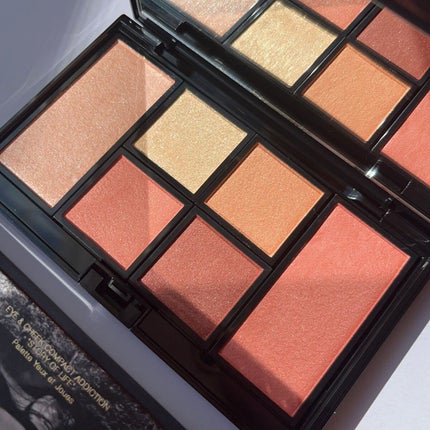 アイ & チーク コンパクトアディクション “ストーリー オブ ライフ”/ADDICTION/アイシャドウパレットを使ったクチコミ(7枚目)