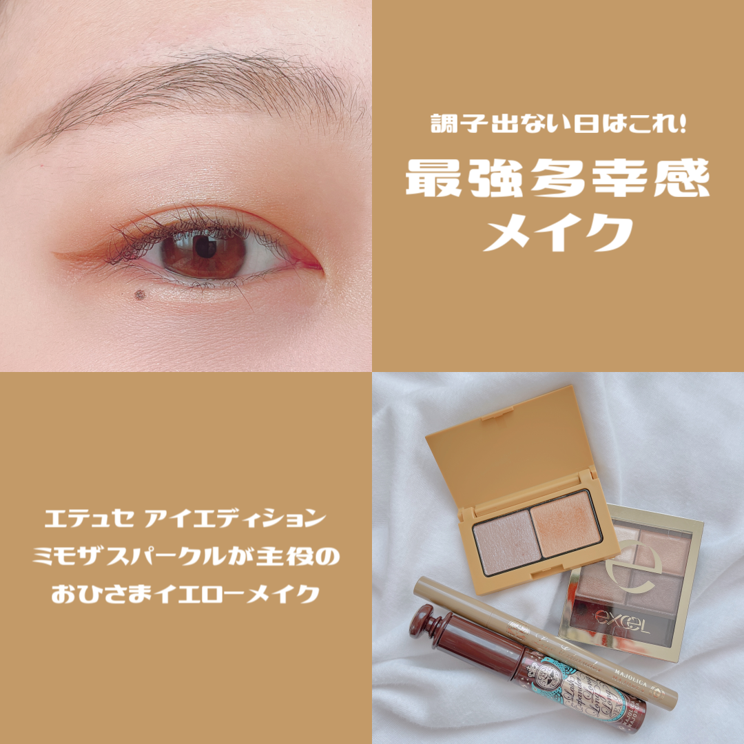 ラインエキスパンダー /MAJOLICA MAJORCA/リキッドアイライナーを使ったクチコミ（1枚目）