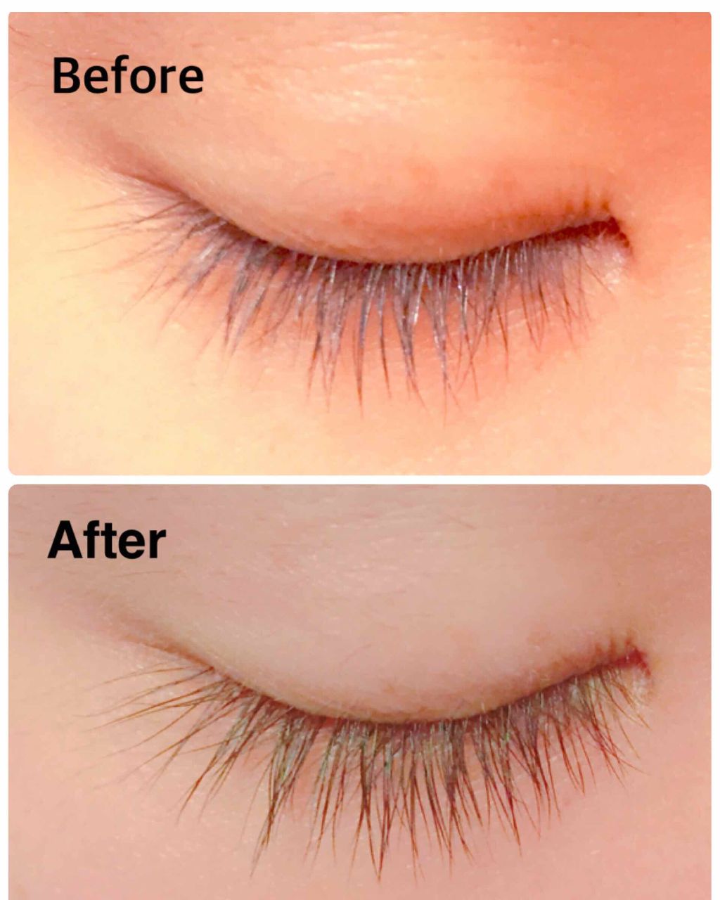 ラッシュジェリードロップ EX/MAJOLICA MAJORCA/まつげ美容液を使ったクチコミ(2枚目)