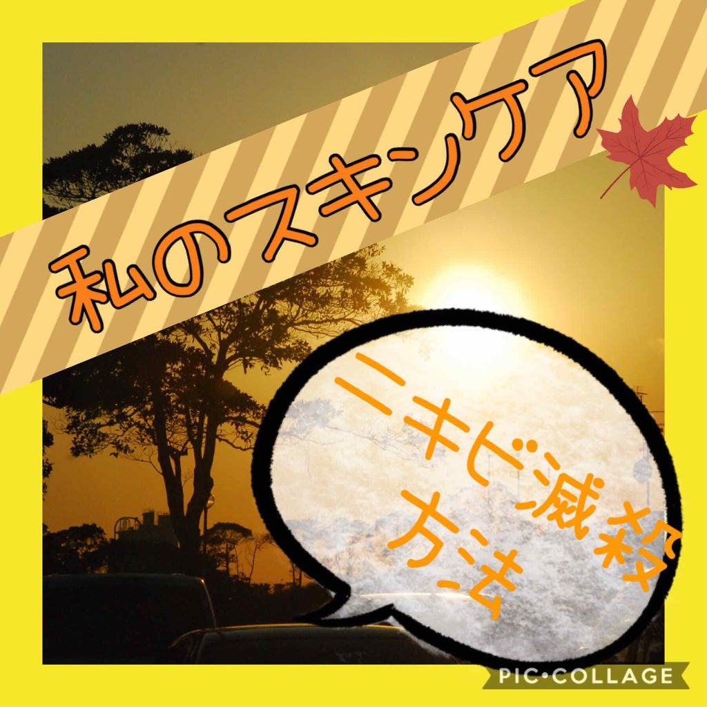 ハトムギ化粧水(ナチュリエ スキンコンディショナー R )/ナチュリエ/化粧水を使ったクチコミ(1枚目)