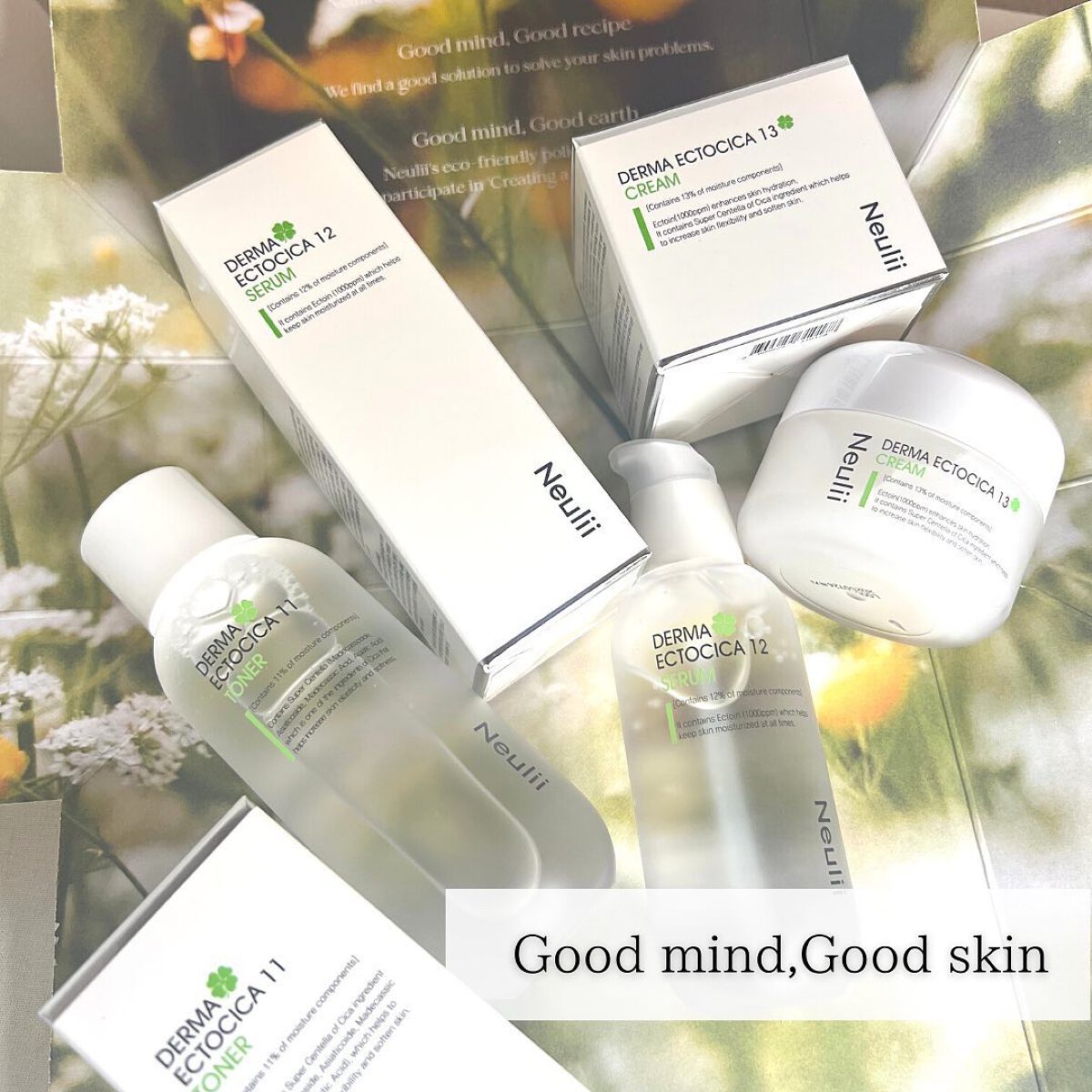 [リミテッドエディション]ダーマエクトシカSET/Neulii/スキンケア・基礎化粧品を使ったクチコミ（2枚目）