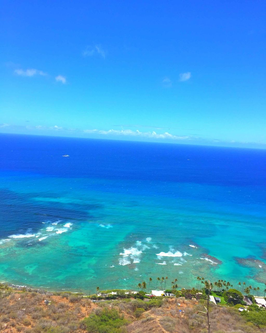 大麦若葉粉末100%/山本漢方製薬/青汁を使ったクチコミ（1枚目）