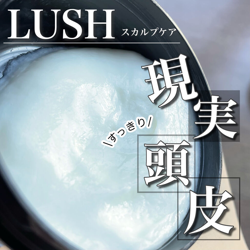 現実頭皮 ラッシュの使い方を徹底解説 Lush現実頭皮 スカ By りちゃ𓆗 Youtubeやってます 乾燥肌 代前半 Lips