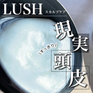 ラッシュ 現実頭皮のクチコミ「
┈┈┈┈┈┈┈┈┈┈
LUSH
現実頭皮 (スカルプケア)
225g / ¥2,300
┈┈.....」（1枚目）