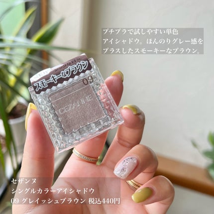 シングルカラーアイシャドウ/CEZANNE/単色アイシャドウを使ったクチコミ(2枚目)