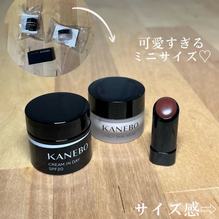 ライブリースキン ウェア/KANEBO/クリーム・エマルジョンファンデーションを使ったクチコミ(3枚目)