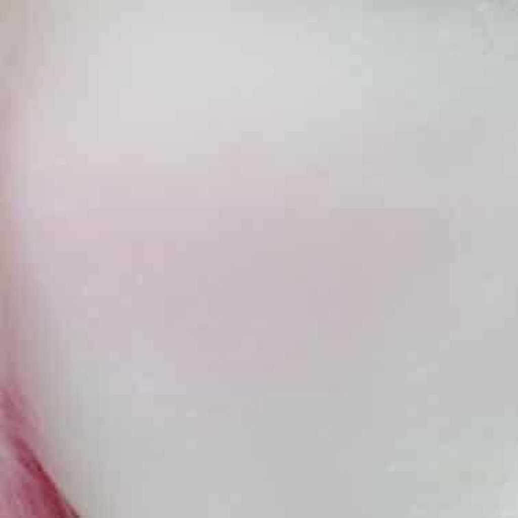 ナチュラル チークN/CEZANNE/パウダーチークを使ったクチコミ（2枚目）