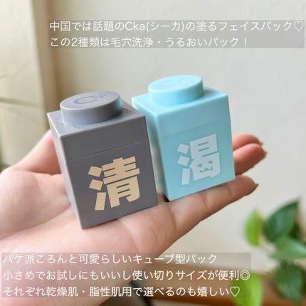 クレイパック 清 ダークグレー(さっぱり)/C+/洗い流すパック・マスクを使ったクチコミ(2枚目)