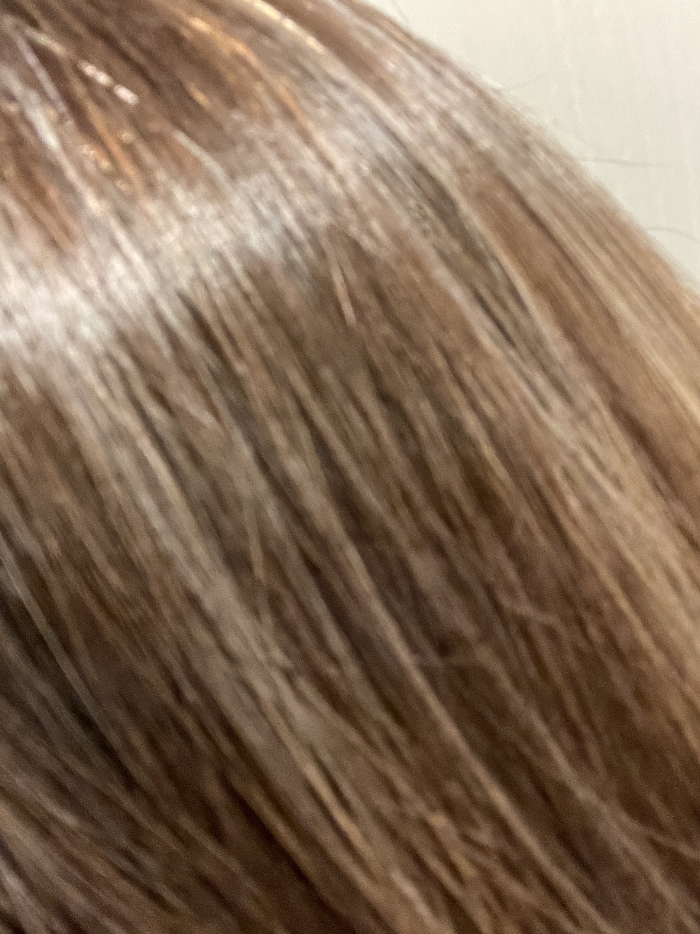 ダメージレメディーシリーズ デイリーリペア/AVEDA/ヘアミルクを使ったクチコミ（2枚目）