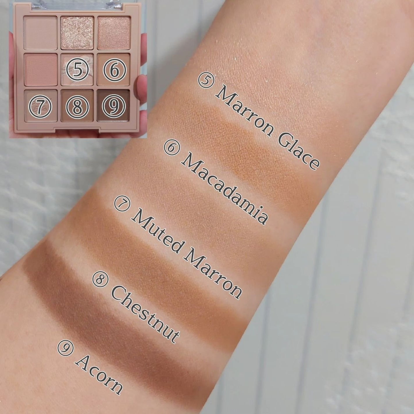 シャドウパレット/dasique/アイシャドウパレットを使ったクチコミ(5枚目)