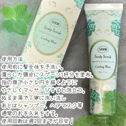 ヘッドスクラブ リフレッシング(ミント)/SABON/ヘッドスクラブを使ったクチコミ(4枚目)