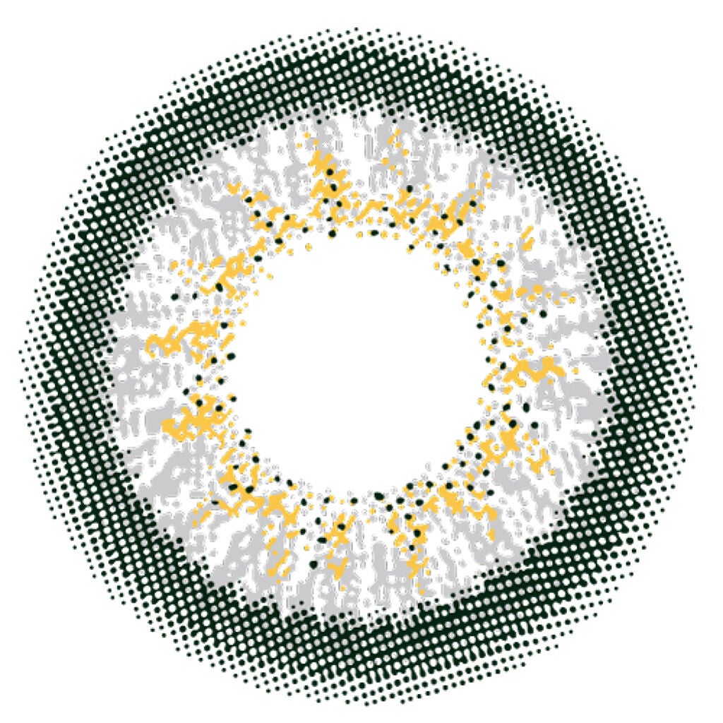 トゥインクルアイズ ワンデー UV+ ハーフシリーズ グレージュグレイ【旧】