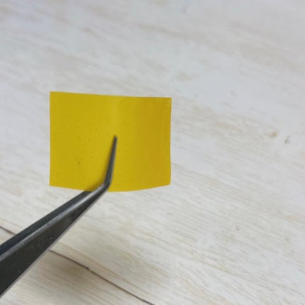 ヨエスターグルタチオンダイレクト5X/ESTHER FORMULA/美容サプリメントを使ったクチコミ(6枚目)