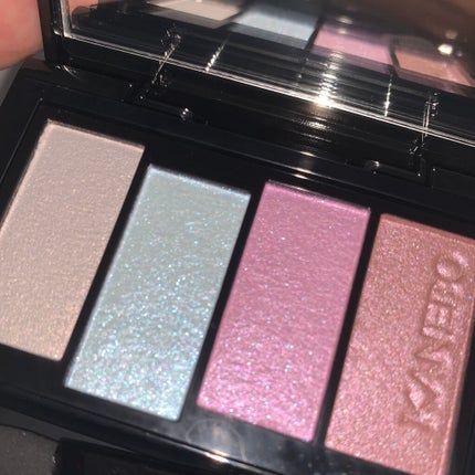 レイヤードカラーズアイシャドウ/KANEBO/アイシャドウパレットを使ったクチコミ(3枚目)