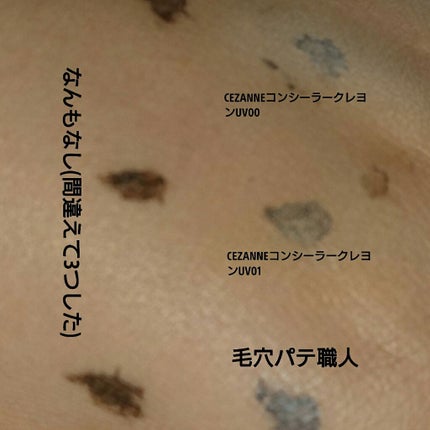 毛穴パテ職人 フィニッシュキープパウダー/毛穴パテ職人/プレストパウダーを使ったクチコミ(3枚目)