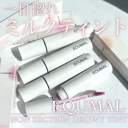 ノンセクショングローリーティント 113 アーチフロー(ARCH FLOW)/EQUMAL/リップティントを使ったクチコミ(1枚目)