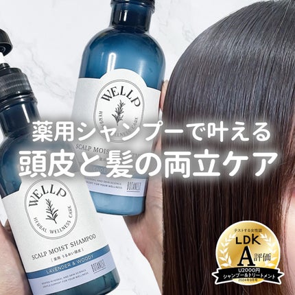 薬用スカルプケアシャンプー/トリートメント モイスト/WELLP/市販シャンプーを使ったクチコミ(1枚目)