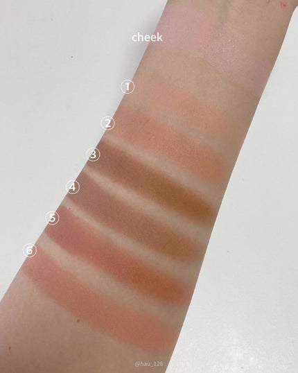 ブラーフィニシュシャドウパレット/Dinto/アイシャドウパレットを使ったクチコミ(5枚目)