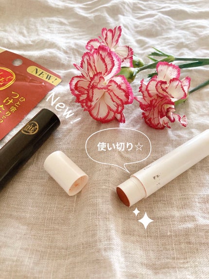 オーガニック認証 精油カラーリップスティック ノーブル オレンジ/THE PUBLIC ORGANIC/口紅を使ったクチコミ(1枚目)