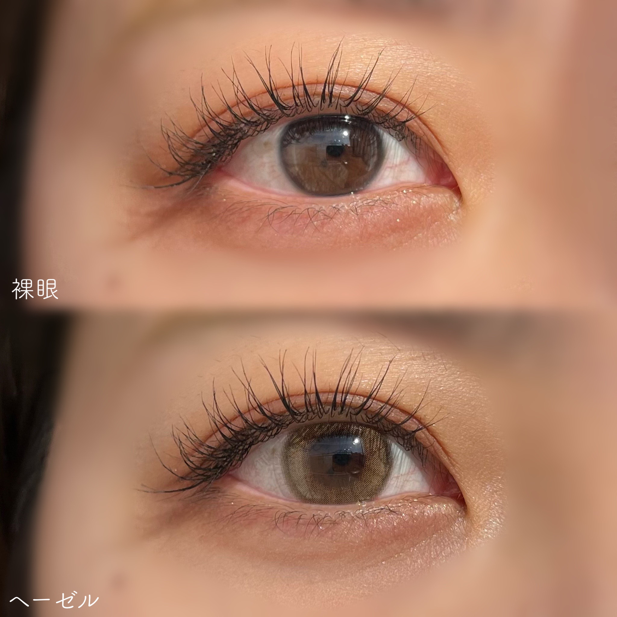 FrenchShine1day/OLENS/ワンデー（１DAY）カラコンを使ったクチコミ（3枚目）