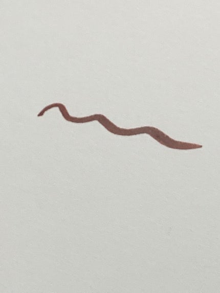 「密着アイライナー」ショート筆リキッド/デジャヴュ/リキッドアイライナーを使ったクチコミ(2枚目)