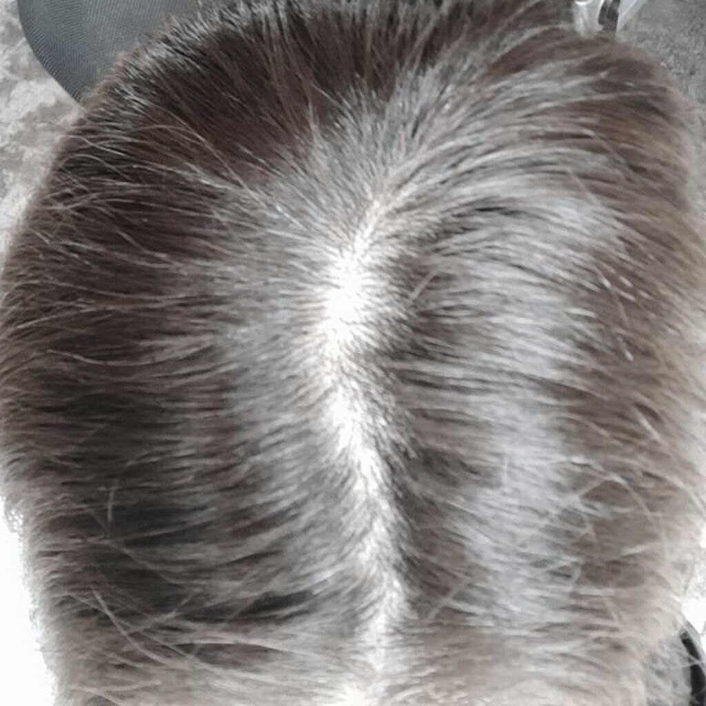 カラートリートメント/テンスター/ヘアカラーを使ったクチコミ(4枚目)