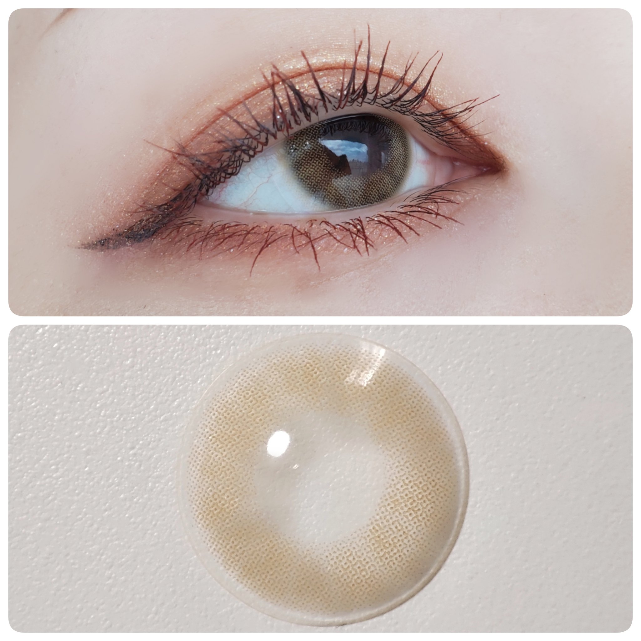 TeAmo 1DAY モスブラウン/TeAmo/ワンデー（１DAY）カラコンを使ったクチコミ（2枚目）