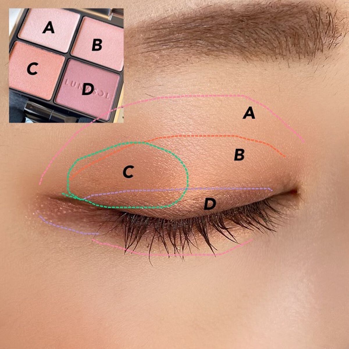 アイカラーレーション/LUNASOL/アイシャドウパレットを使ったクチコミ(5枚目)