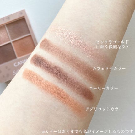 シルキースフレアイズ(マットタイプ)/キャンメイク/アイシャドウパレットを使ったクチコミ(2枚目)
