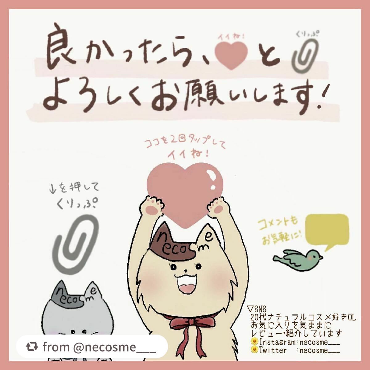 エクスプローラ12色 動物アイシャドウパレット/PERFECT DIARY/アイシャドウパレットを使ったクチコミ(6枚目)