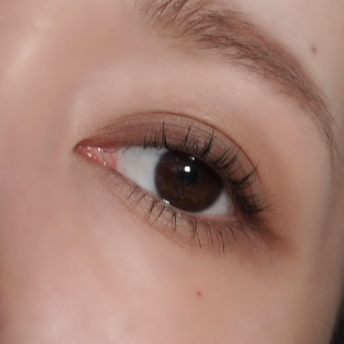 ニュアンス マット クリエイター/Visée/アイシャドウパレットを使ったクチコミ（3枚目）