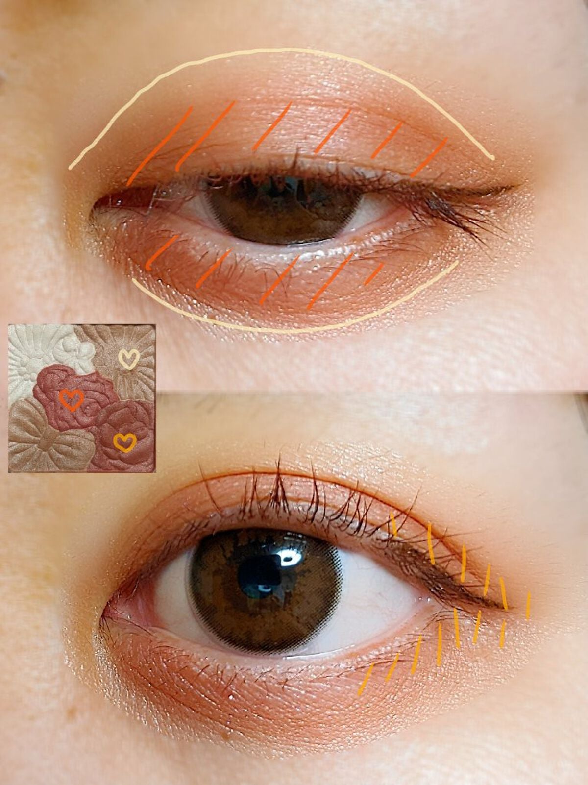 グロウフルールチークス/キャンメイク/パウダーチークを使ったクチコミ(2枚目)