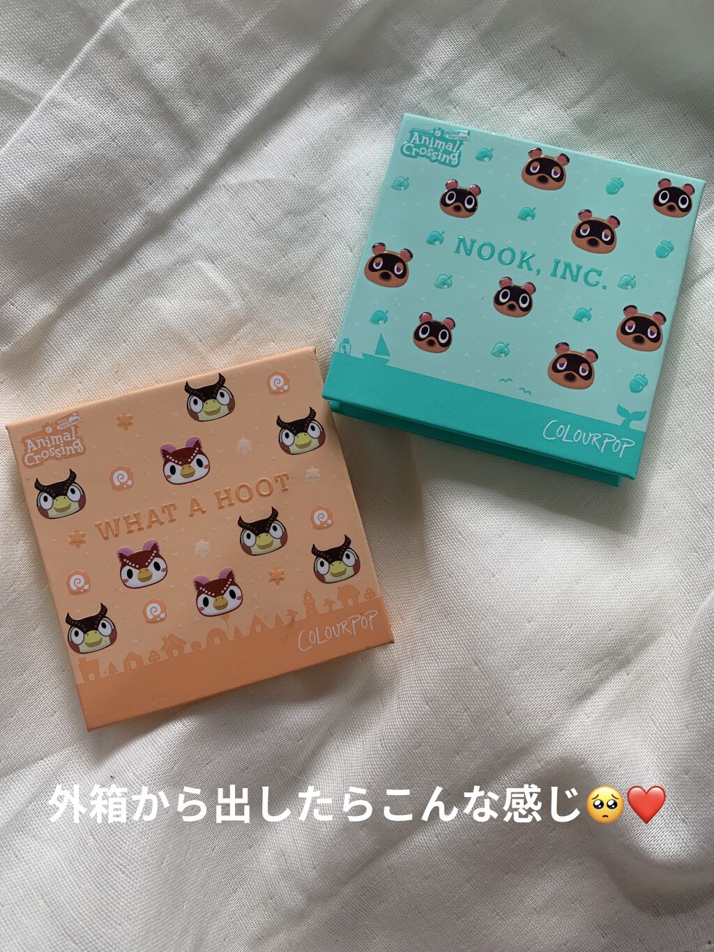 what a hoot/ColourPop/アイシャドウパレットを使ったクチコミ（2枚目）