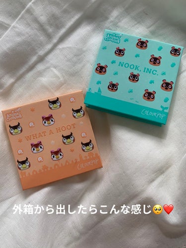 what a hoot/ColourPop/アイシャドウパレットを使ったクチコミ（2枚目）