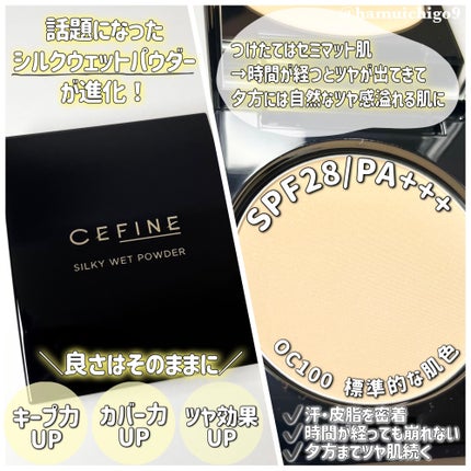 シルキーウェットパウダー/セフィーヌ/パウダーファンデーションを使ったクチコミ(2枚目)