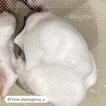 リッチホイップブラシSHINKA(シンカ)/SHOBIDO/その他スキンケアグッズを使ったクチコミ(3枚目)