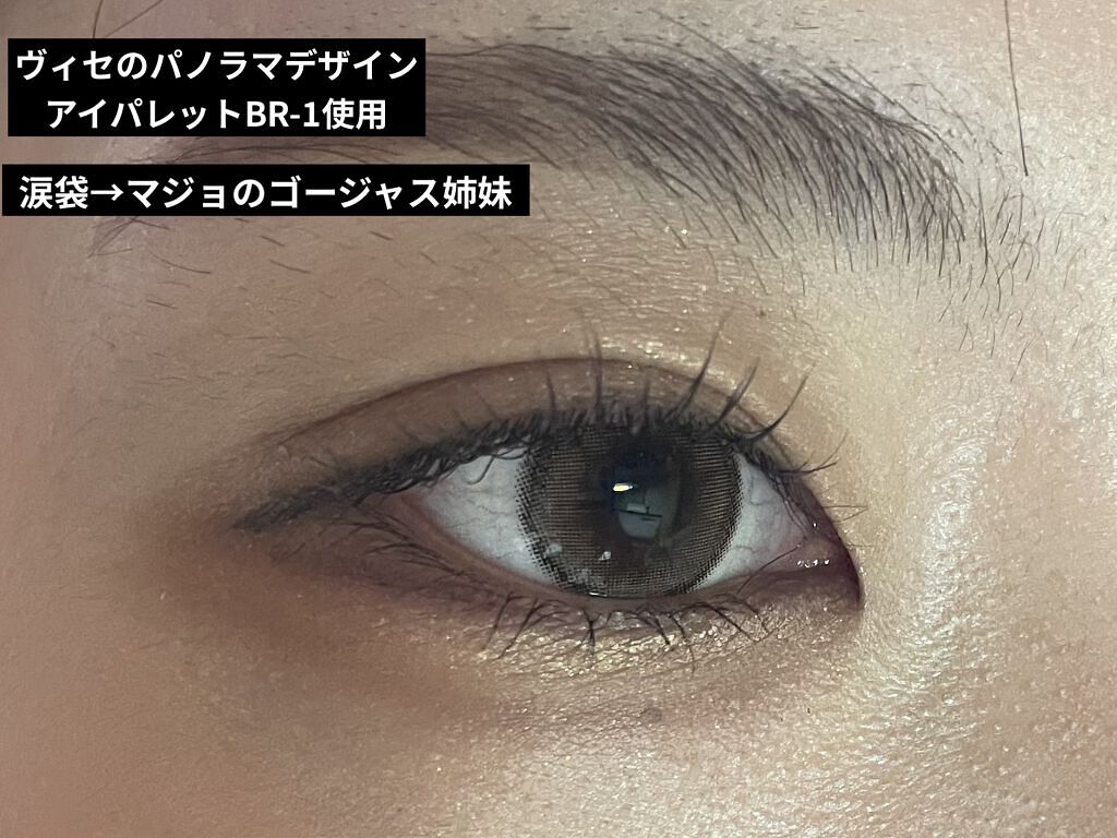 パノラマデザイン アイパレット/Visée/アイシャドウパレットを使ったクチコミ（2枚目）