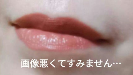 SPステイ ヴィニルインク/MAYBELLINE NEW YORK/口紅を使ったクチコミ(5枚目)