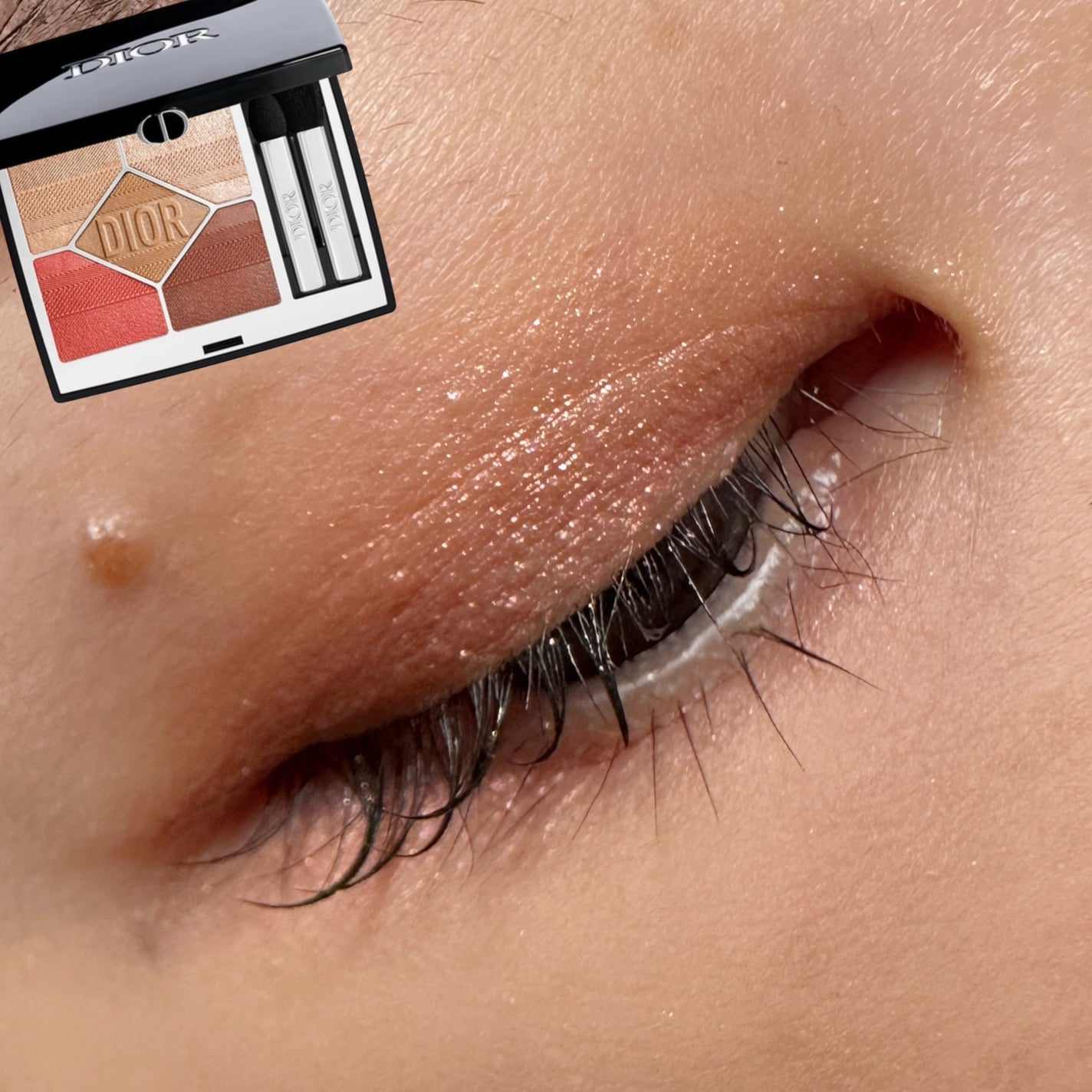 【旧】ディオールショウ サンク クルール(プラン ドゥ パリ コレクション限定品)/Dior/アイシャドウを使ったクチコミ(1枚目)
