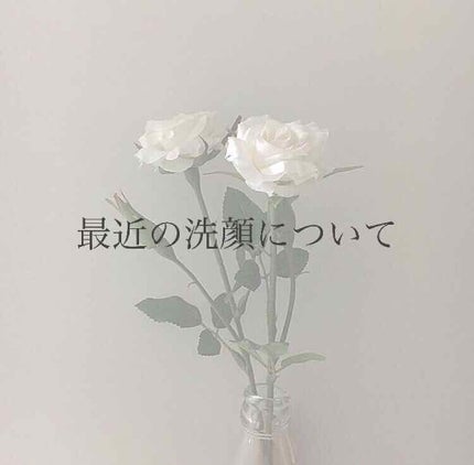 ハーバリズム/ラッシュ/その他洗顔料を使ったクチコミ(1枚目)
