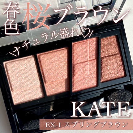 デザイニングブラウンアイズ/KATE/アイシャドウパレットを使ったクチコミ(1枚目)