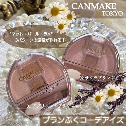 プランぷくコーデアイズ/キャンメイク/パウダーアイシャドウを使ったクチコミ(1枚目)