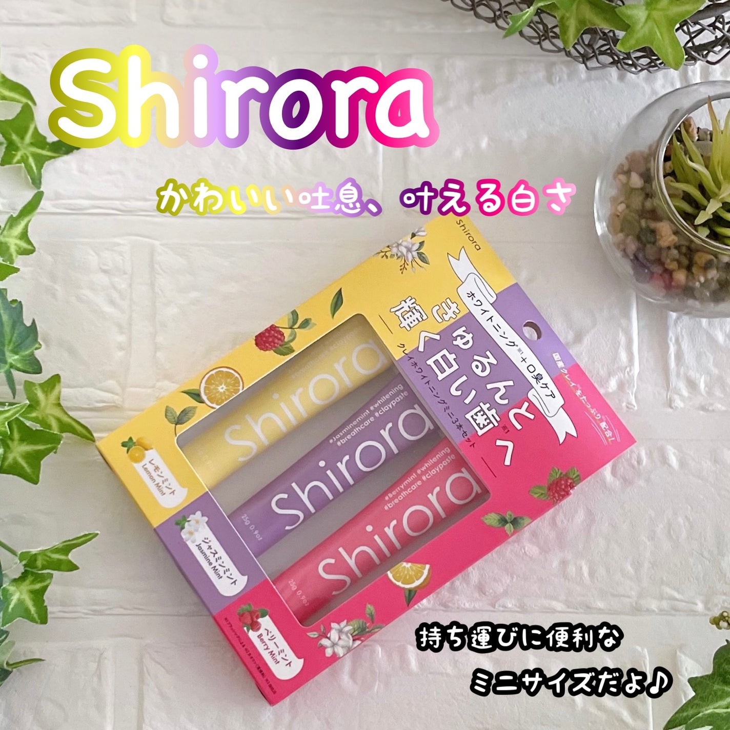 シローラクレイホワイトニングミニ3本セット(レモン&ジャスミン&ベリー)/Shirora/歯磨き粉を使ったクチコミ(6枚目)