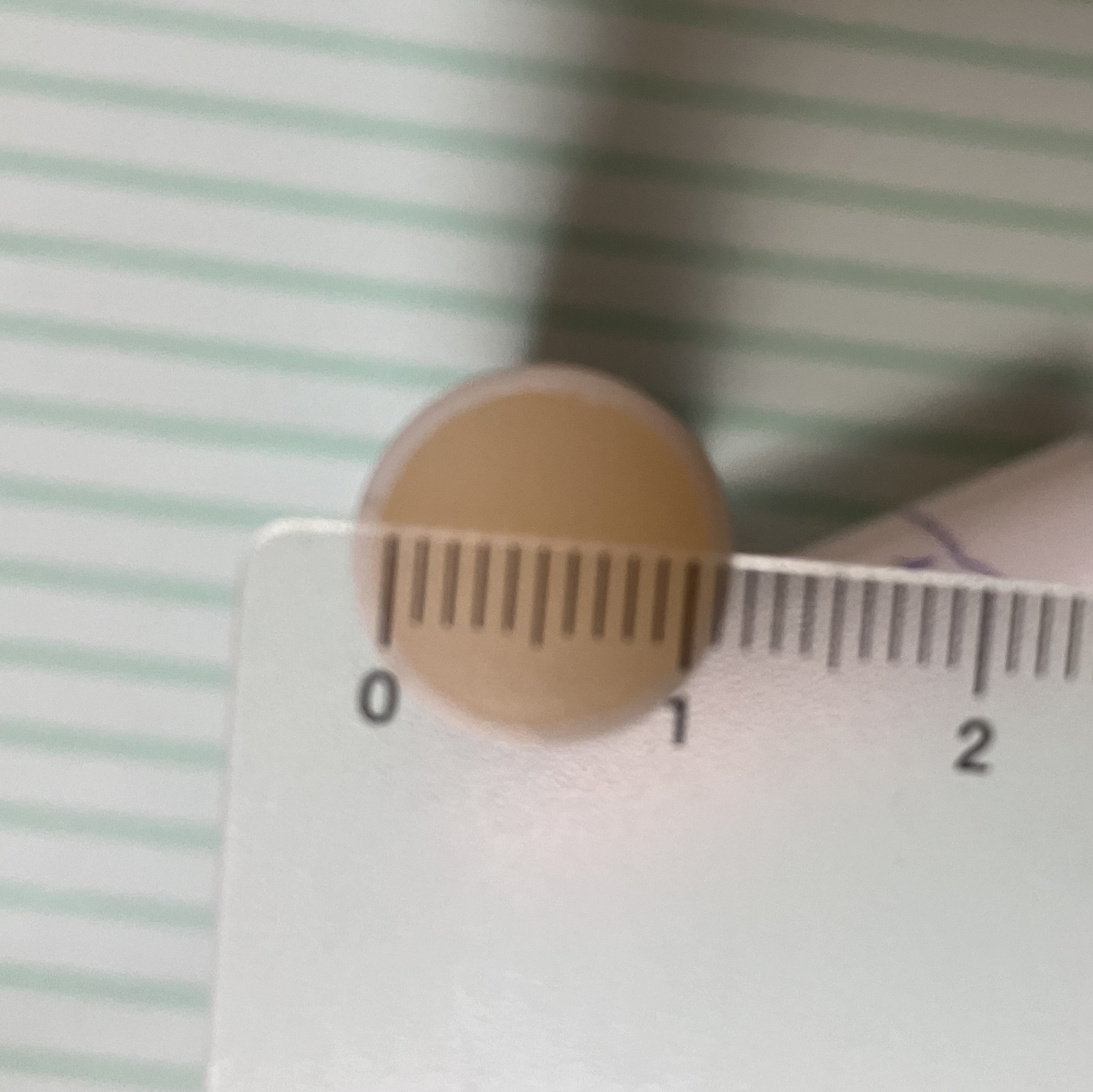 メルティクリームリップ/メンソレータム/リップクリームを使ったクチコミ（3枚目）