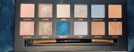 エクスプローラ12色 動物アイシャドウパレット/PERFECT DIARY/アイシャドウパレットを使ったクチコミ(2枚目)