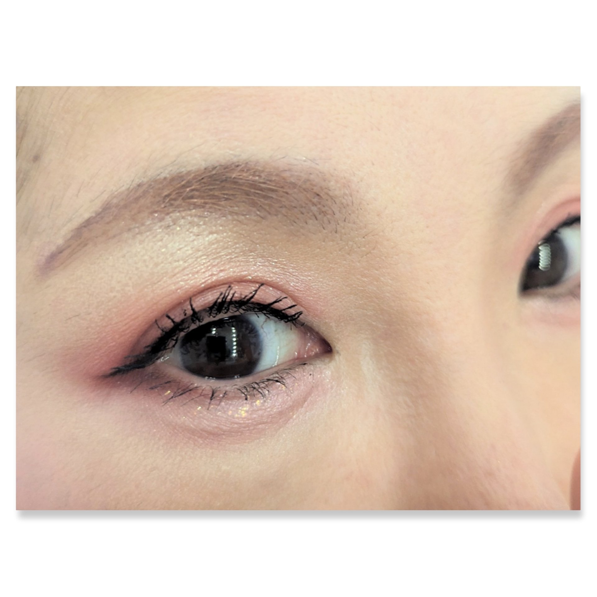 シルキースフレアイズ（マットタイプ）/キャンメイク/アイシャドウパレットを使ったクチコミ（2枚目）