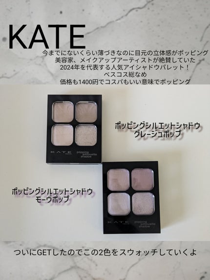 ケイト ポッピングシルエットシャドウ/KATE/アイシャドウパレットを使ったクチコミ(2枚目)